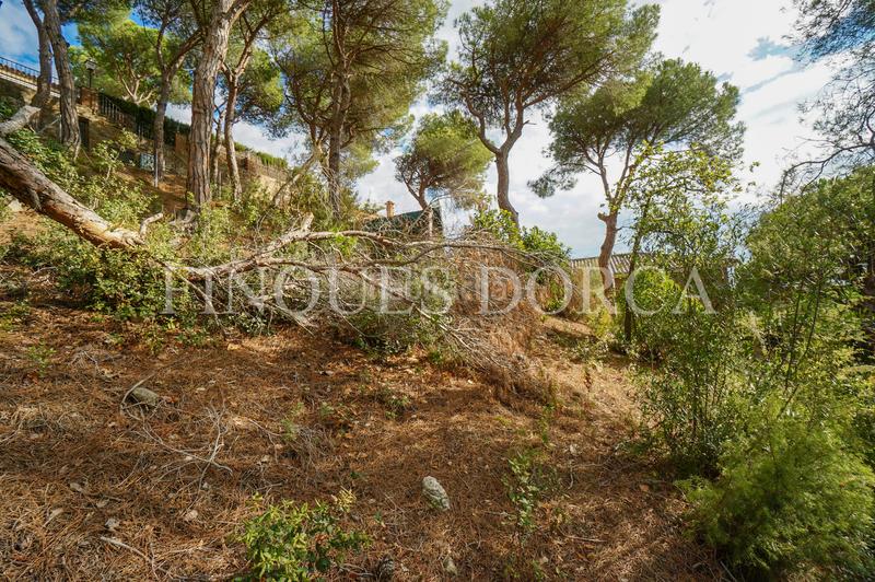 Foto f774ad1f-afc7-498f-a76d-50efbbef3f3a. Terrain résidentiel dans Cabrils