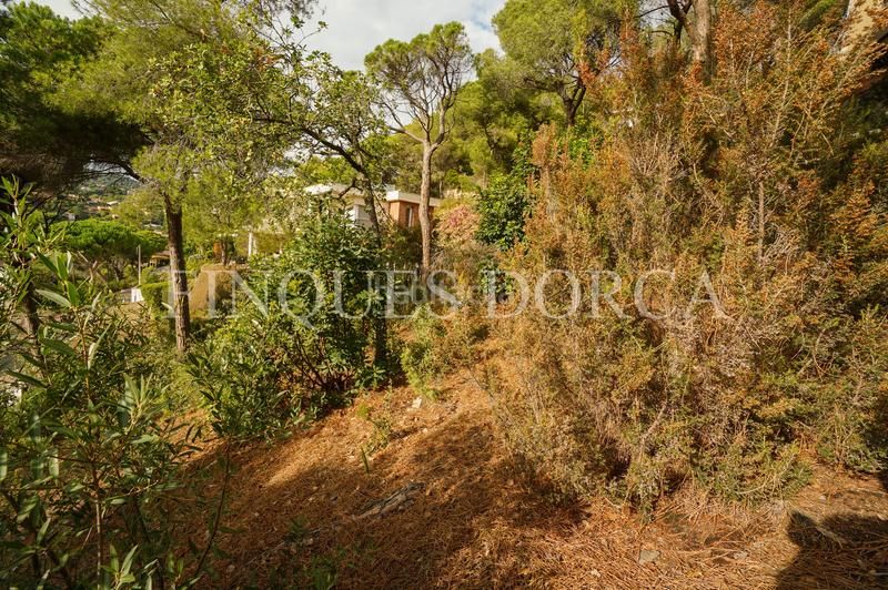 Foto f799b5d8-6e90-4756-9fa4-eb30f9bc6c64. Terrain résidentiel dans Cabrils