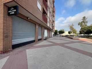 Local Comercial en Calle Maestro Ibarra