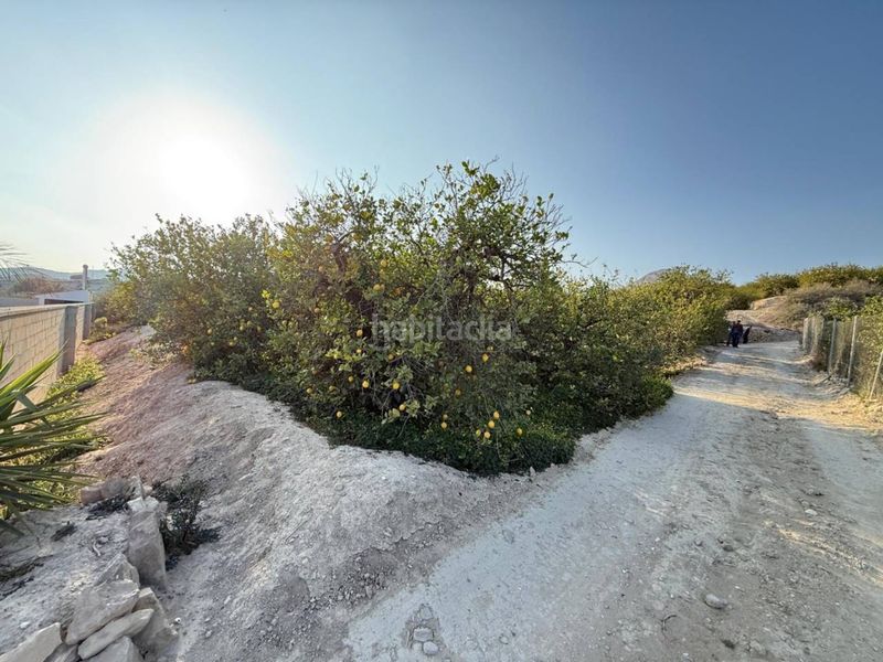Foto ca4d1989-f14d-4713-8548-d205cd5d446c. Wohngrundstück in Villanueva del Río Segura