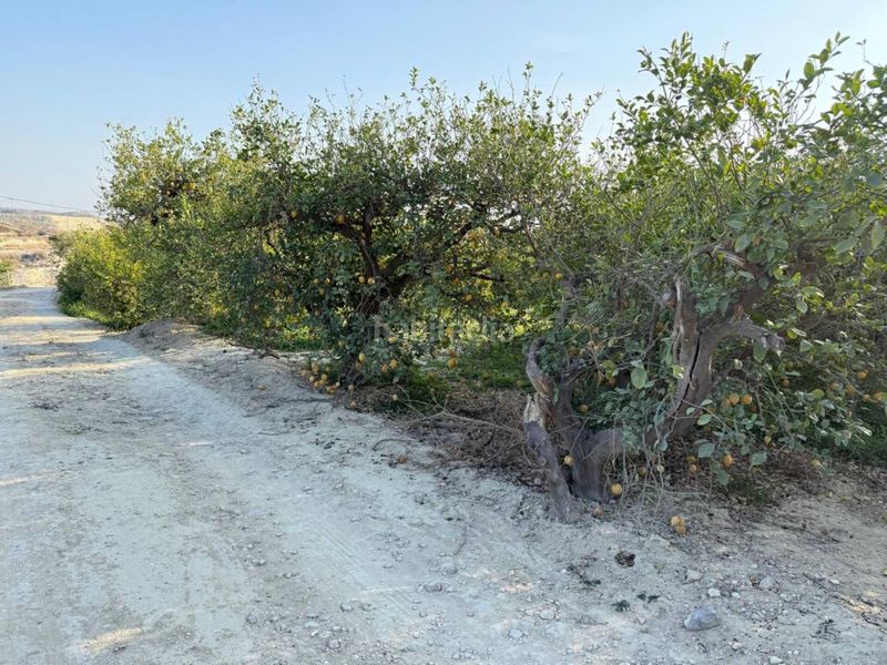 Foto dadeaa71-bd5b-47c4-af91-3d6a713f1abc. Wohngrundstück in Villanueva del Río Segura