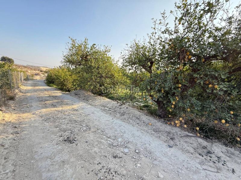 Foto e5bfdd42-6c10-46de-ab6b-04b2fa8bd6dd. Wohngrundstück in Villanueva del Río Segura