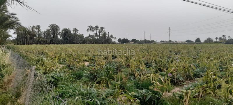 Foto 0a30a25f-39e3-413a-b3a2-41f4b2d10702. Finca rústica a La Foia - Daimés - Asprella Elche / Elx