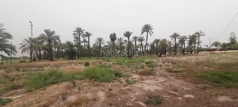 Foto 1687d1d9-2e90-4d0b-868e-e6a23feb6bec. Finca rústica a La Foia - Daimés - Asprella Elche / Elx