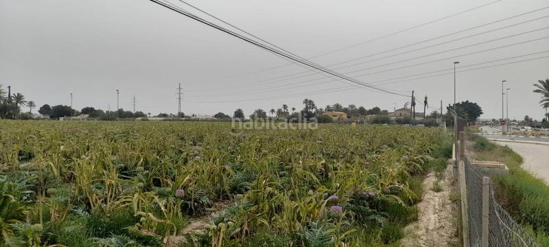 Foto 238716e6-1240-41d7-9f6c-3a2f5d9ae027. Finca rústica a La Foia - Daimés - Asprella Elche / Elx