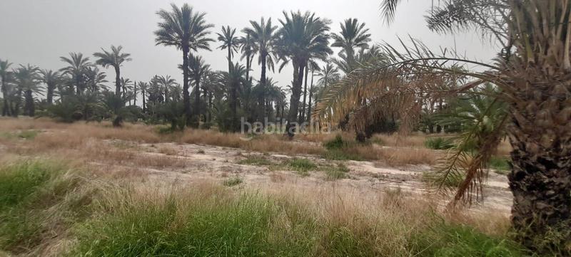 Foto 6ba51fb4-092b-4a0d-8a82-3e483ab514f7. Finca rústica a La Foia - Daimés - Asprella Elche / Elx