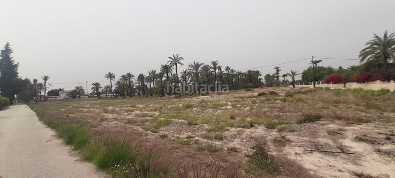 Foto 798916b4-97b2-4956-a1b1-09ab5a1bd3d7. Finca rústica a La Foia - Daimés - Asprella Elche / Elx