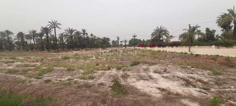 Foto 7ca2e8c7-2862-48b6-bd74-a5a95e99c473. Finca rústica a La Foia - Daimés - Asprella Elche / Elx