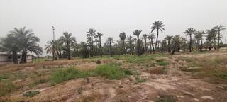 Finca rústica a La Foia - Daimés - Asprella. Terreno en algoros