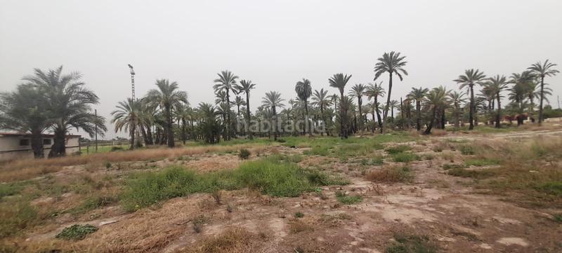 Foto 80aaa486-6a42-4b43-bb32-1fc78ead71bc. Finca rústica a La Foia - Daimés - Asprella Elche / Elx