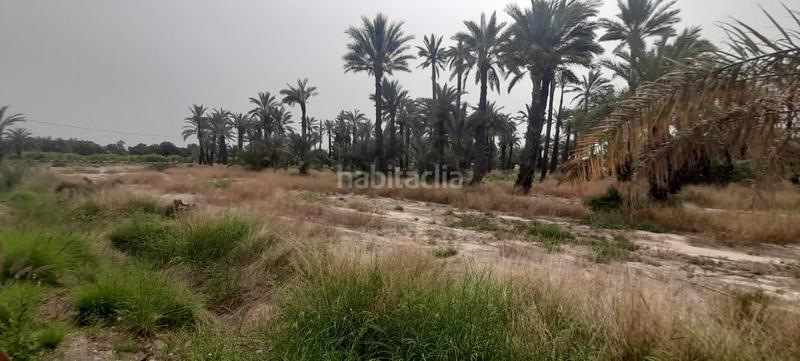 Foto 934ce0ca-31c9-4824-ba44-d13f2da8c3a0. Finca rústica a La Foia - Daimés - Asprella Elche / Elx