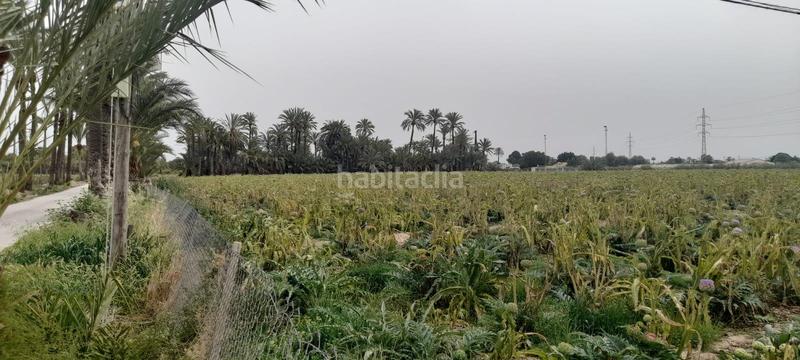 Foto e93e02d1-713d-4e85-b8aa-80fabf1bd2e3. Finca rústica a La Foia - Daimés - Asprella Elche / Elx