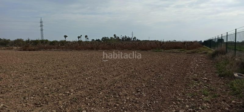 Foto 0afc200f-b3bf-448e-9c66-c591c804441c. Terreny residencial a Perleta - Maitino Elche / Elx