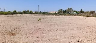 Terreny residencial a Perleta - Maitino. Terreno urbanizable en elche pedanias zona perleta