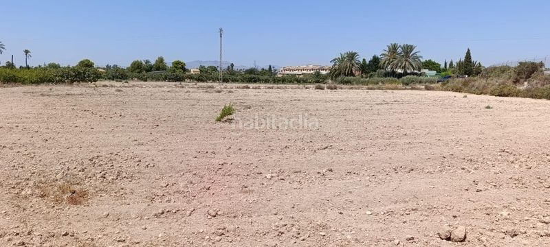 Foto 3420f675-992c-46ab-b72a-d999d8c01dd6. Terreny residencial a Perleta - Maitino Elche / Elx