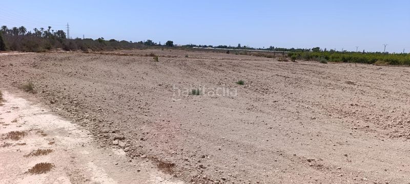 Foto 6489c090-ae06-41fe-832b-8cf1634f9c5f. Terreny residencial a Perleta - Maitino Elche / Elx