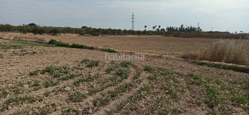 Foto 6e976667-c19e-4295-a46d-ad9ca7178678. Terreny residencial a Perleta - Maitino Elche / Elx