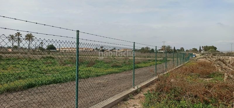 Foto a0d3fb67-dd39-472f-a71b-2fd3794d51f2. Terreny residencial a Perleta - Maitino Elche / Elx