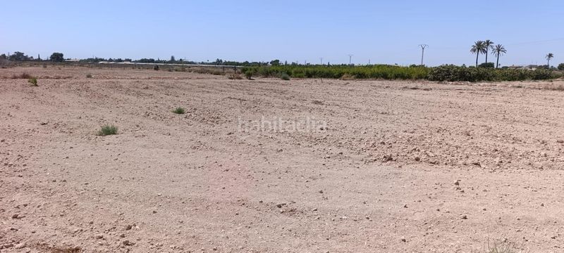 Foto e06e1e1b-495e-4c6f-9a11-5e7208d6ce77. Terreny residencial a Perleta - Maitino Elche / Elx