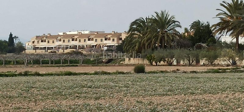 Foto f687ab4b-7193-4a67-9315-84dfab372426. Terreny residencial a Perleta - Maitino Elche / Elx