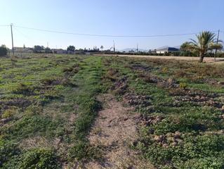 Residential Plot in La Algoda - Matola - Llano de San José. Parcela con luz en matola