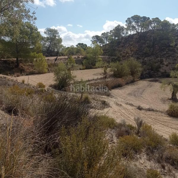Foto 3e215c36-65a9-4381-a17b-d6ad3b76771d. Finca rústica a Hondón de las Nieves