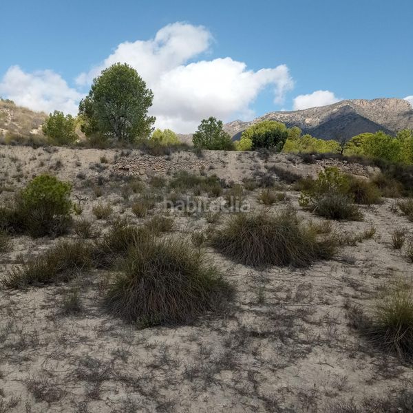 Foto d012fb11-05a5-4bec-888a-bc81c24f6686. Finca rústica a Hondón de las Nieves