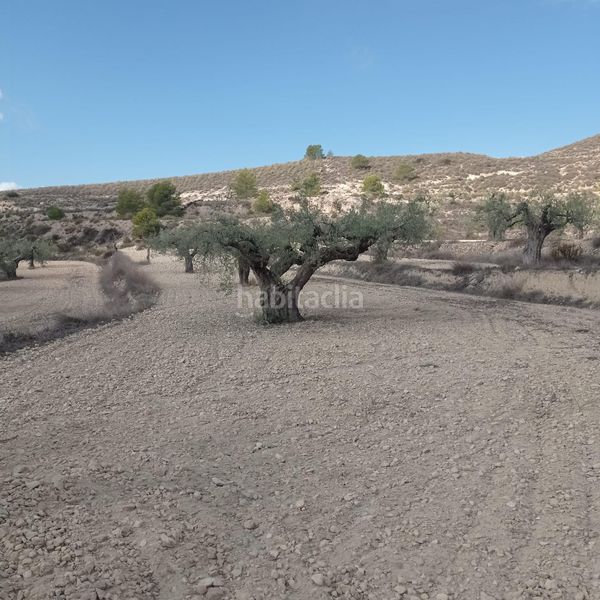 Foto e7f0a28b-9809-45d7-8020-9a9743d061d0. Finca rústica a Hondón de las Nieves