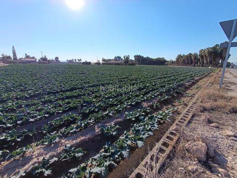 Foto 0c7070fc-3b87-40c5-9a39-c6ba4cef1d3c. Propriété dans Crevillente