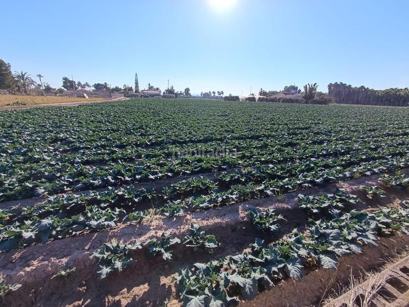 Foto 843514c4-3d3f-4635-8397-7f67caeaaa45. Propriété dans Crevillente