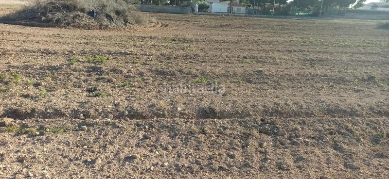 Foto 2370c4fd-eb89-4ee4-ac37-847ef6c0cc1b. Terrain résidentiel dans Valverde Elche / Elx