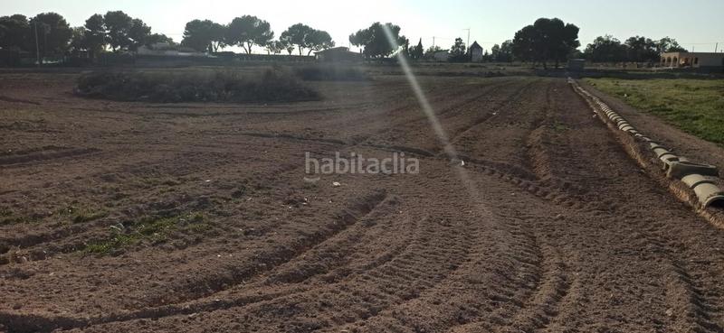 Foto 2efb273a-ee3e-4e38-9412-850141a79444. Terrain résidentiel dans Valverde Elche / Elx