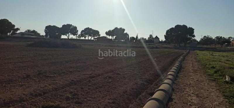 Foto 37caec6e-6ce0-4939-8fcc-4de2cd2bf18a. Terrain résidentiel dans Valverde Elche / Elx