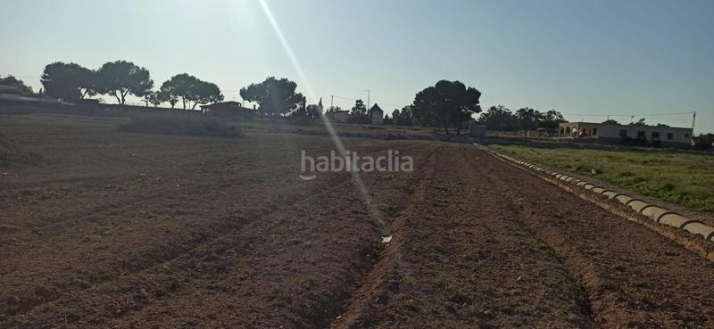 Foto 62576b68-3549-49c1-82ec-9271b474fea0. Terrain résidentiel dans Valverde Elche / Elx