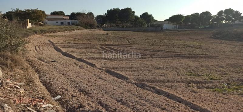 Foto a2efdc83-124d-42f0-b684-02e532c10527. Terrain résidentiel dans Valverde Elche / Elx