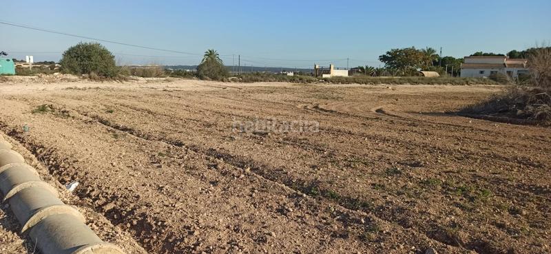 Foto aeda733f-cc0a-446c-8bb7-9548959e6240. Terrain résidentiel dans Valverde Elche / Elx