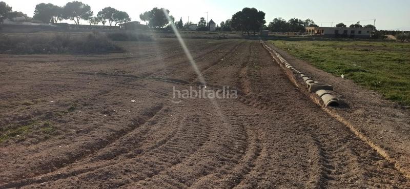 Foto c27056b9-8087-45f3-a8f4-3a1600610ebc. Terrain résidentiel dans Valverde Elche / Elx