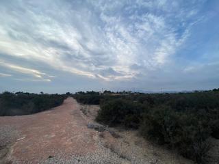 Terreny residencial a Catral. Amplia parcela en elche  zona matola con vistas despejadas