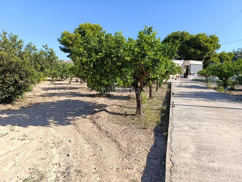 Foto 9f774824-f943-4652-b967-8c84e101db27. Chalet with pool in Jubalcoi Elche / Elx