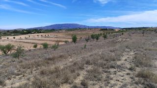 Rural plot in Pinoso. Terreno rústico en pinoso  oportunidad única de inversión