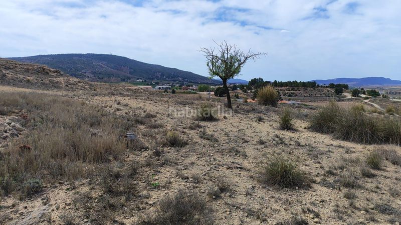 Foto 7193f0e3-329b-41f8-8920-f76c85f52428. Finca rústica a Pinoso