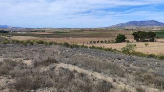 Propriété à Pinoso. Terreno rústico en pinoso  oportunidad única de inversión