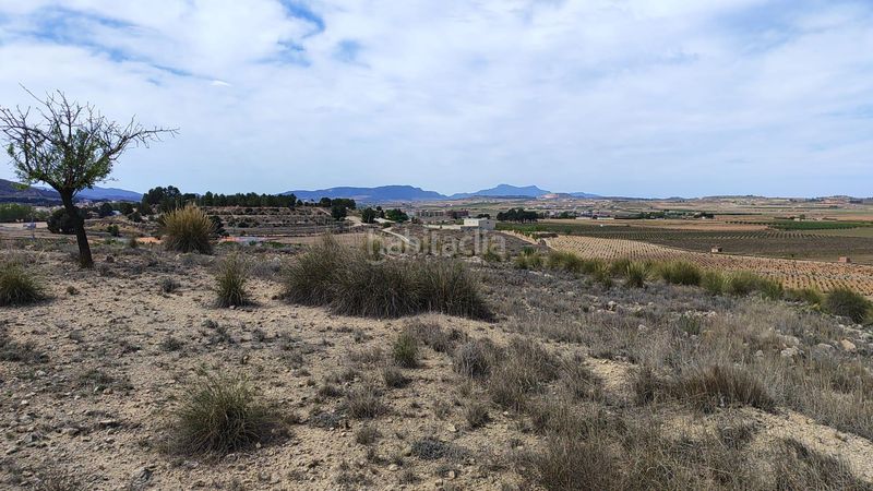 Foto b34ecfa4-6d49-4a96-8f51-13c90318de62. Finca rústica a Pinoso