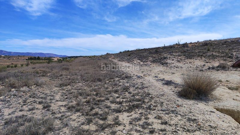 Foto be85a3f3-9d54-4e16-8e53-22380cf95960. Finca rústica a Pinoso
