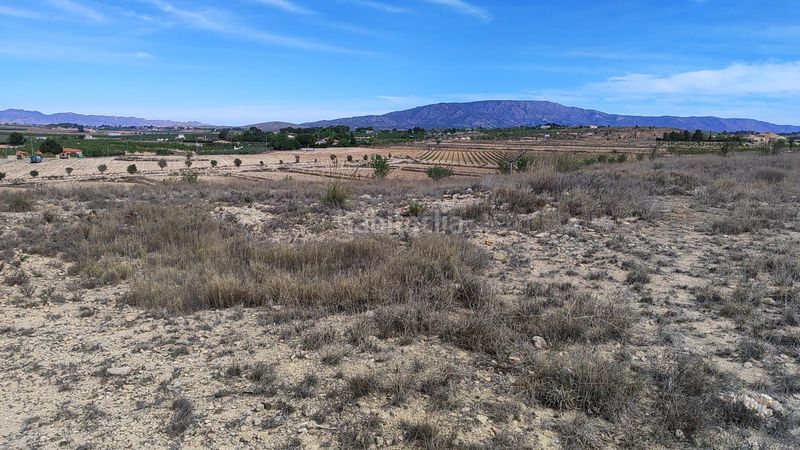 Foto bf1c2356-c7f1-4554-b86c-27a4f4b9a7a2. Finca rústica a Pinoso
