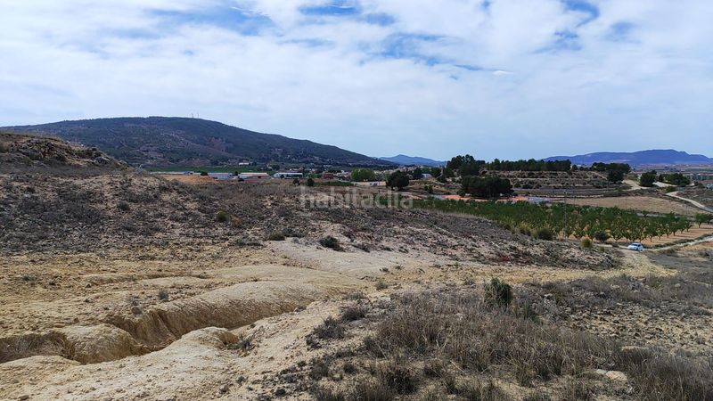 Foto cf9a0590-1659-4aba-ba65-1c55279d743e. Finca rústica a Pinoso