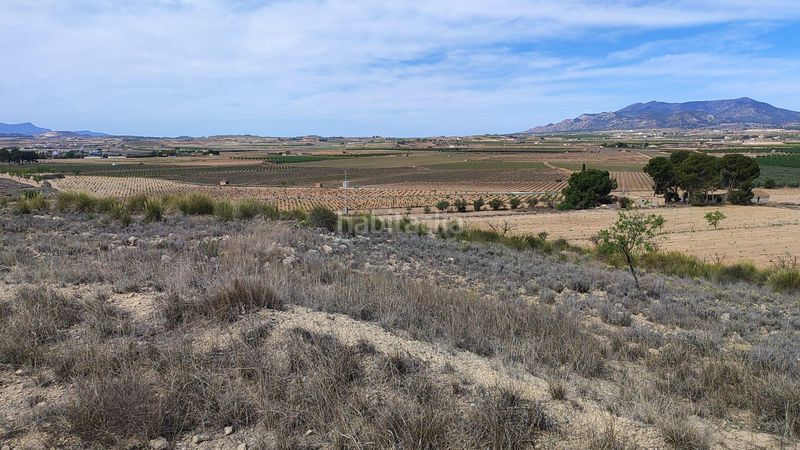 Foto d547814c-c28c-4709-8773-206551b3d832. Finca rústica a Pinoso