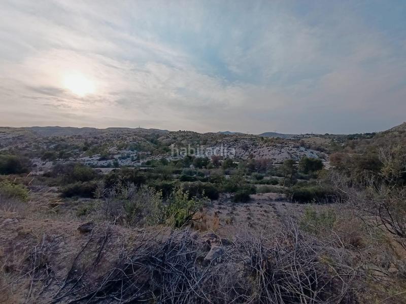 Foto 0ef23eb2-a1b2-4b00-ae0c-b8360d954362. Casa a Peña de las Águilas Elche / Elx