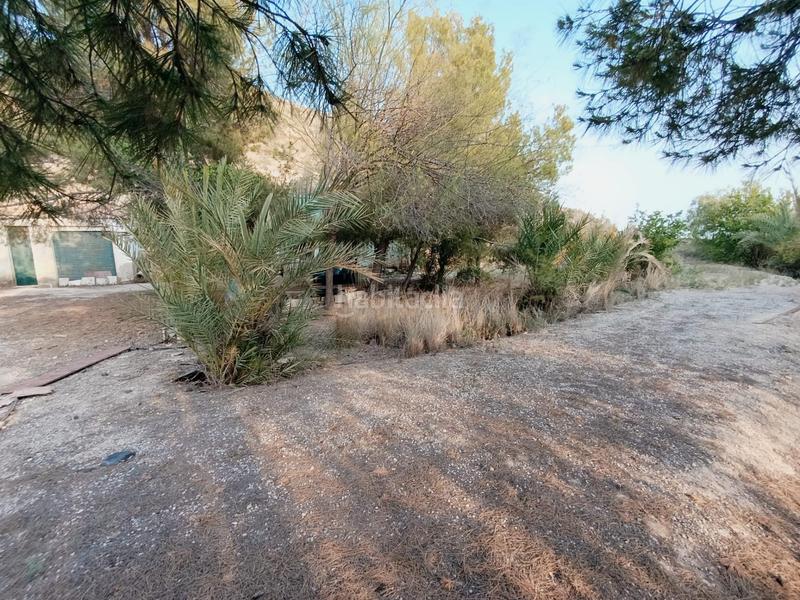 Foto 2ce5934a-f47d-42dd-8d0a-45b18031178a. Casa a Peña de las Águilas Elche / Elx