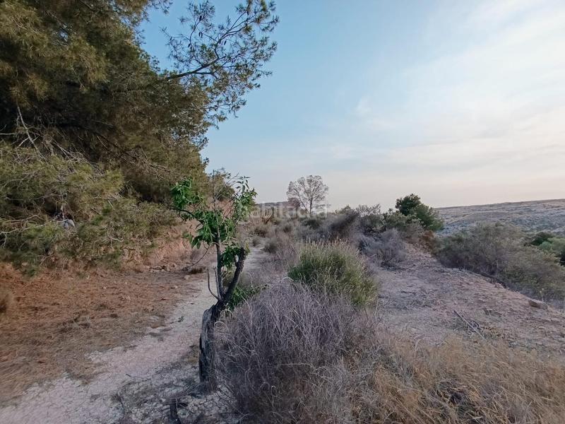 Foto 45e8c47a-7225-4618-9ae2-2f51081b9aab. Casa a Peña de las Águilas Elche / Elx